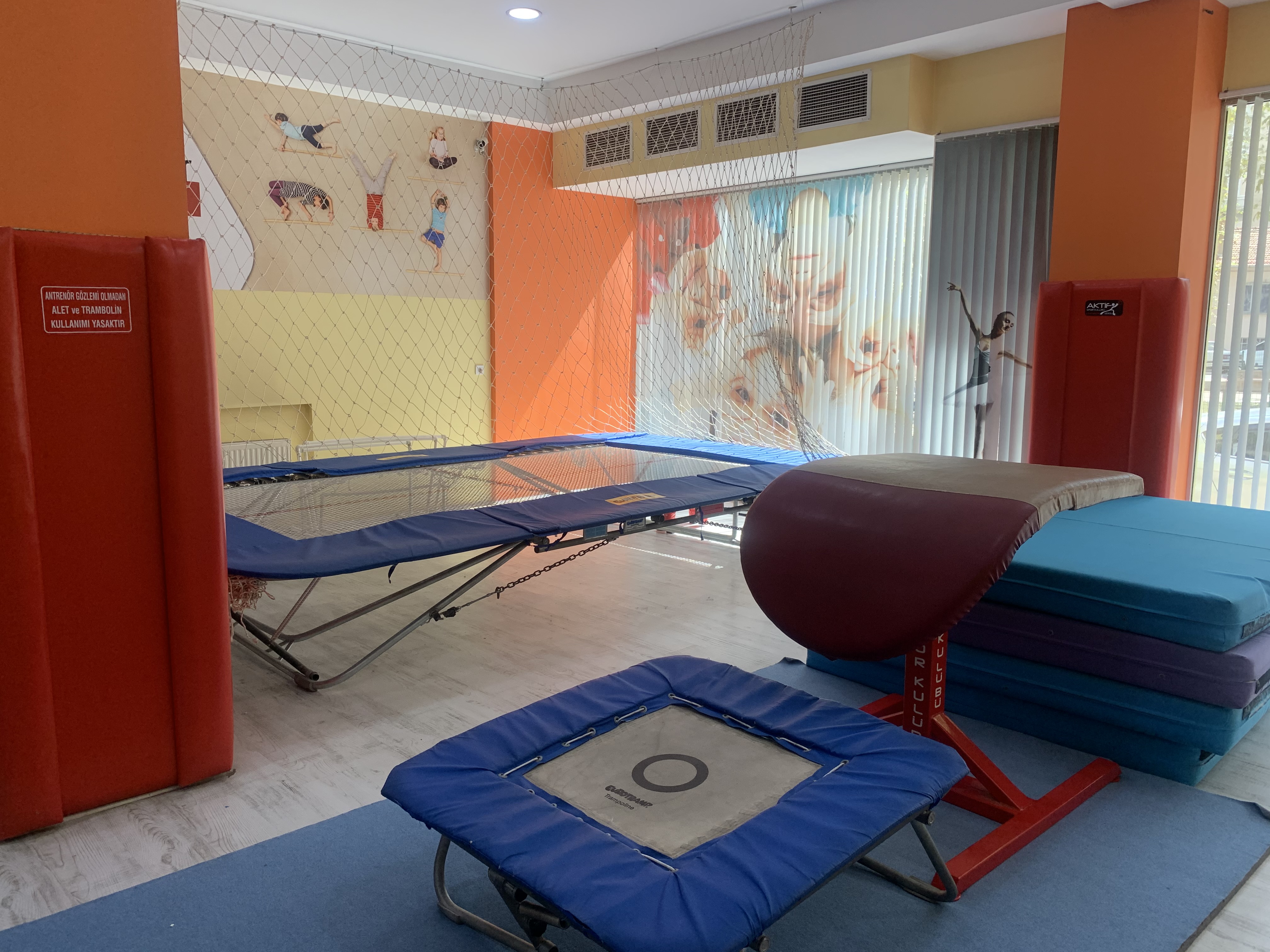 SALONUMUZDAN KARELER