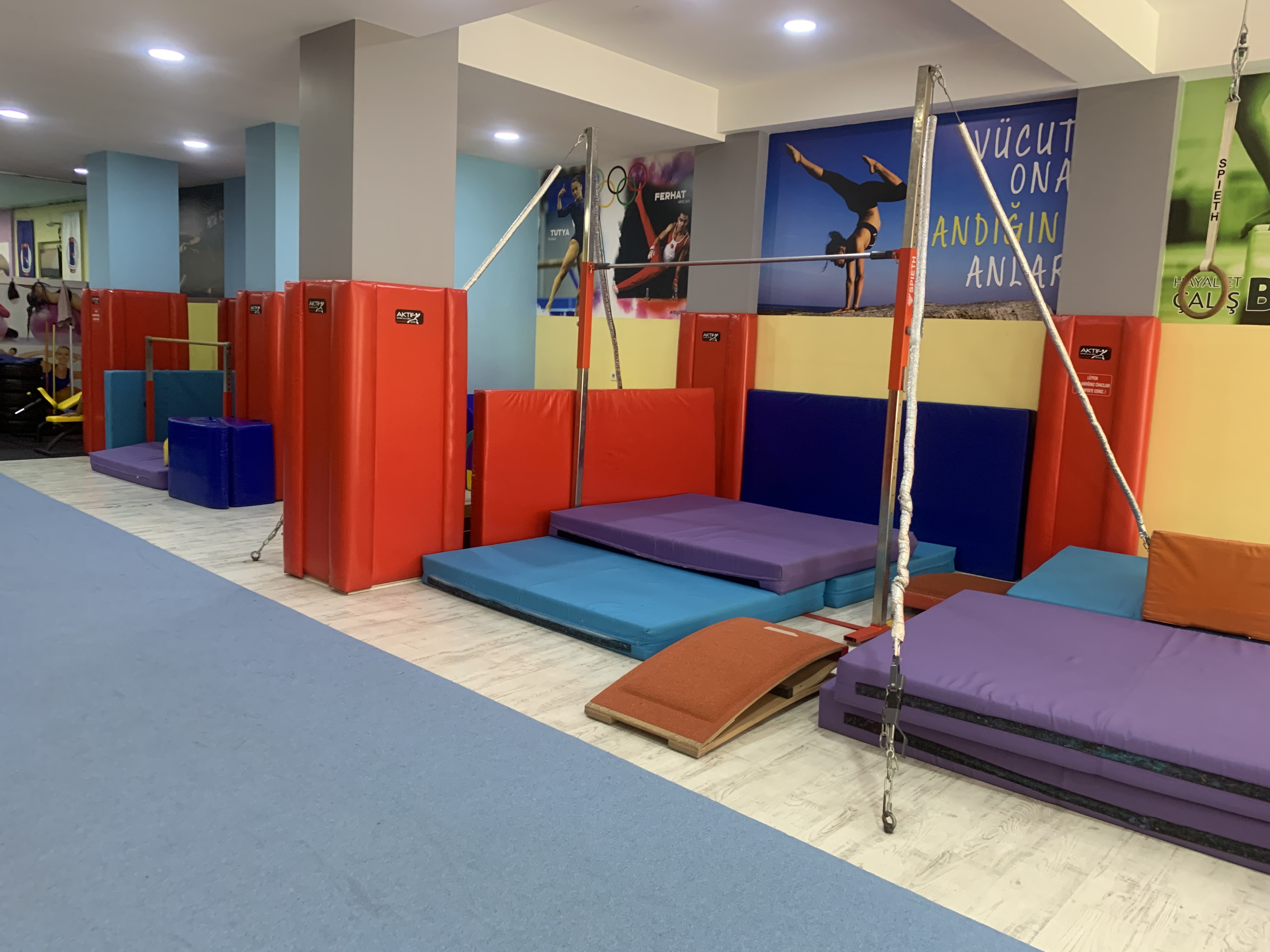 SALONUMUZDAN KARELER